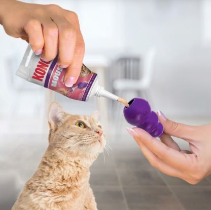 Mousse de Saumon Pour Chat, Kong